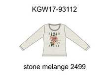 KGW17-93112 svetl-ser-melan.jpg