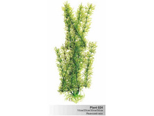 �������� ��� �������