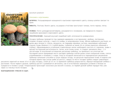 ������������� ������ 88,50 ���. ������� 10 ��.