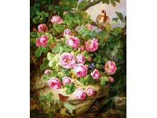 20.������� ����.jpg