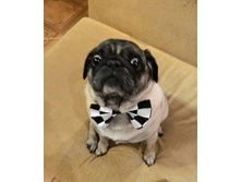 � ��������� �����)