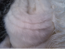 IMG 20170127 144110.jpg