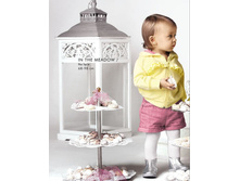 ���� ���������