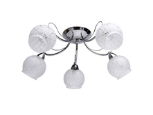 358018405 1800�.jpg