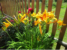 �������� �������