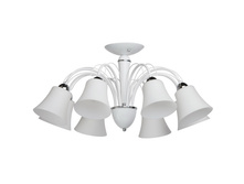 297011508 4200�.jpg