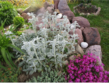 ������-����������