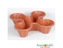 ���. ��� - � �������� ����� �����