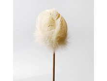 ������ ���� ������ 60�.jpg