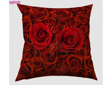 01947 1001 ����.jpg