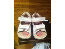 ������� ecco 21 ������