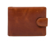 �� 12-21, 738 ���.