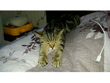 20150930 142310.jpg