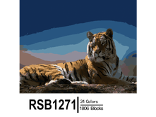 RSB1271 24-1806 副本0002-500x500.png