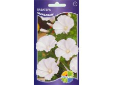 �������� �������� 8.90+%.jpg