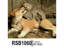 RSB1060 27-3051 副本0002-500x500.png