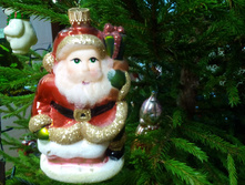 IMG 20170102 144328.jpg