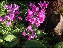 ����������