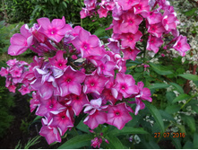 DSC02905.JPG