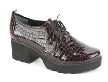 M2603-10X 2200�.JPG