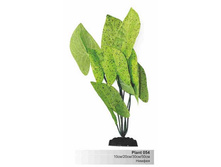 ������  ���������  � ��������