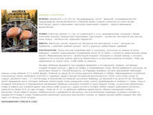 �������� ������������ 88,80 ���. ������� 19 ��.