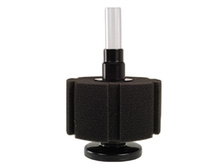 ������������������� ������������� ����-������ �����