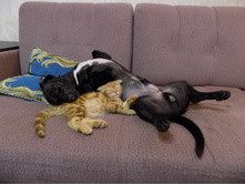 ���� � �������� 043.jpg