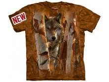 �������� ���� � 3� �������� XL XXL.jpg