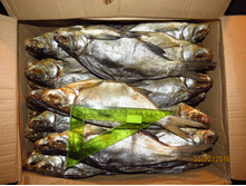 ��� 100�/��