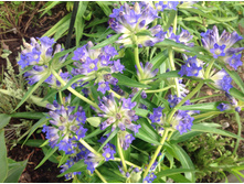 ��������� �������������