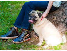 ������� 743035 ����������, 2160 ���.