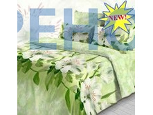 3848-1 ���  ������ ���� ��������