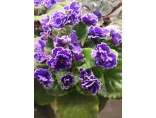 IMG 20160928 183117.jpg