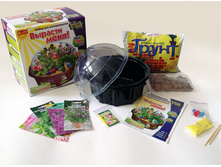 ������������� ��������.jpg