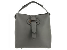 Bl400 gray ���� 1561 ���.����.jpg