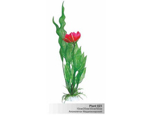 ���������� �������������� � �������