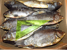 ������ 70�/��, ������ �� ����.