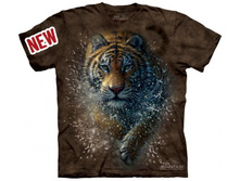 3� �������� ���� S L XL.jpg