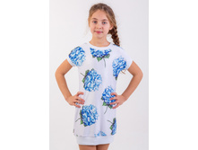 ������ ����� ,�������.jpg