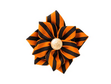 ������ ������, �� �������.png