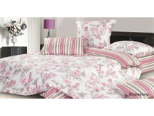 97-504 ��� ��������.jpg