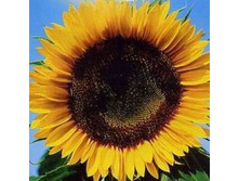 ������������ ������� ��. 4 ���. ������� 18 ��..jpg