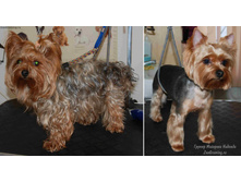 Em9vZ3J1bWluZy5ydQ==!DSC 7645789.jpg