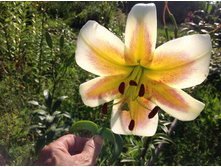 �-� ����