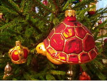 IMG 20170102 144533.jpg