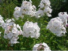 ����������*)