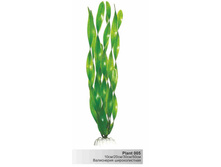 ���������� �������������