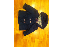 �������� 12 ���.