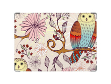 275� ������� ��� �������� ���� Owl.jpg